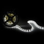 Greenice Tira de LEDs SMD2835 Blanco Frío 24VDC 5m 4000Lm