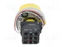 SCHNEIDER ELECTRIC Interruptor de emergencia Harmony XB5 rojo