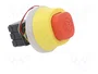 SCHNEIDER ELECTRIC Interruptor de emergencia Harmony XB5 rojo