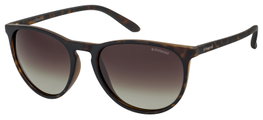 Polaroid PLD-6003-N-S-V08-LA Gafas de sol Marrón
