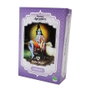 RADHE SHYAM Champú Ayurvédico Shikakai en polvo 100g ECO