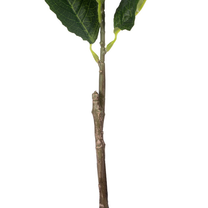 Flor Hortensia Blanco Tejido Decoración 74 cm (Set de 12)