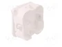 ELEKTRO-PLAST NASIELSK Caja de Conexiones Blanca IP42