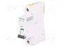 SCHNEIDER ELECTRIC ACTI9 iC60N 13A 1P Curva C