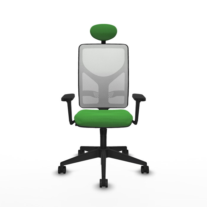 PIQUERAS Y CRESPO Silla de oficina Motilla con mecanismo Sincro, Verde y Blanco
