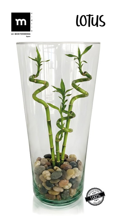 La Mediterranea Florero de Vidrio Lotus H26xø12.5cm La Mediterranea Florero de Vidrio Lotus H26xø12.5cm