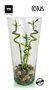 La Mediterranea Florero de Vidrio Lotus H26xø12.5cm