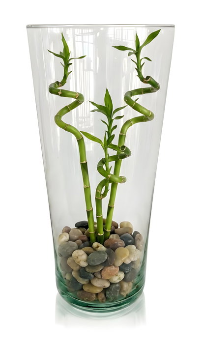 La Mediterranea Florero de Vidrio Lotus H26xø12.5cm La Mediterranea Florero de Vidrio Lotus H26xø12.5cm