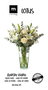 La Mediterranea Florero de Vidrio Lotus H26xø12.5cm