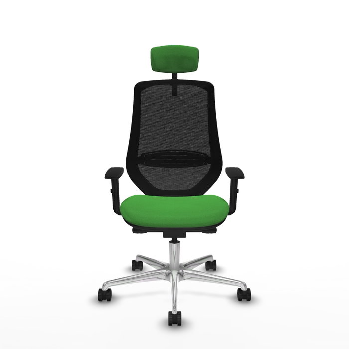 PIQUERAS Y CRESPO Silla de oficina Mardos con mecanismo Sincro/Traslack, Verde/Negro PIQUERAS Y CRESPO Silla de oficina Mardos con mecanismo Sincro/Traslack, Verde/Negro