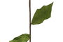 DKD Home Decor Ramas de Terciopelo y PVC 33x33x67 cm Surtidas