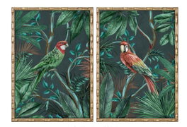 DKD Home Decor Cuadro Tropical Verde Oscuro Papagayo Cristal Abeto 70 x 50 x 2.8 cm (2 Unidades)
