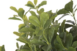 DKD Home Decor Árbol Ficus Verde Blanco 70x140x70 cm 2 Unidades