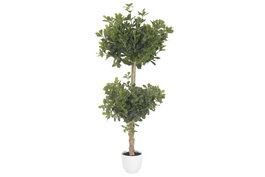 DKD Home Decor Árbol Ficus de PE y Cemento Verde 70x70x140 cm