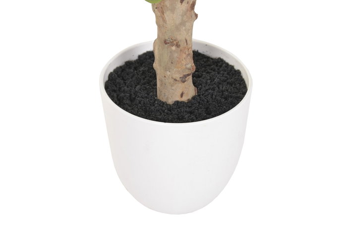 DKD Home Decor Árbol Ficus Verde Blanco 70x140x70 cm 2 Unidades