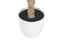 DKD Home Decor Árbol Ficus Verde Blanco 70x140x70 cm 2 Unidades