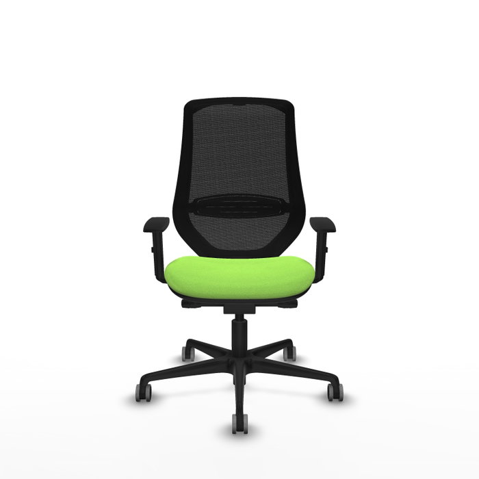 PIQUERAS Y CRESPO Silla de oficina Mardos con mecanismo Sincro/Traslack, Pistacho y Negro PIQUERAS Y CRESPO Silla de oficina Mardos con mecanismo Sincro/Traslack, Pistacho y Negro