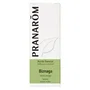PRANAROM Aceite esencial de Biznaga 5 ml