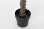 DKD Home Decor Palmera Datilera Artificial 100x100x230 cm