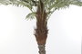 DKD Home Decor Palmera Datilera Artificial 100x100x230 cm