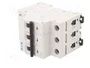 EATON ELECTRIC FAZ-B25/3 Interruptor magnetotérmico 25A 3 Polos 15kA