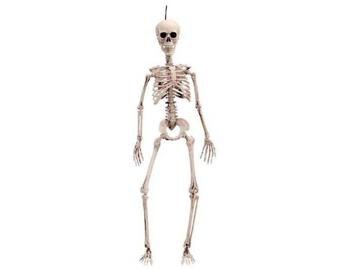 My Other Me Esqueleto Talla 120 Cm