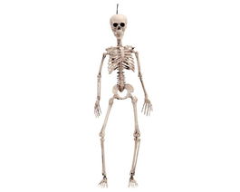 My Other Me Esqueleto Talla 120 Cm