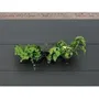 Nature Jardinera de pared - Kit con soporte y 4 maceteros (1 L) - Negro - Dimensiones A 15 x L 60 cm