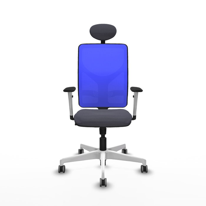 PIQUERAS Y CRESPO Silla de oficina Motilla con mecanismo Sincro, Gris oscuro y Azul PIQUERAS Y CRESPO Silla de oficina Motilla con mecanismo Sincro, Gris oscuro y Azul