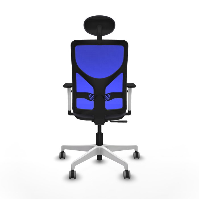 PIQUERAS Y CRESPO Silla de oficina Motilla con mecanismo Sincro, Gris oscuro y Azul PIQUERAS Y CRESPO Silla de oficina Motilla con mecanismo Sincro, Gris oscuro y Azul