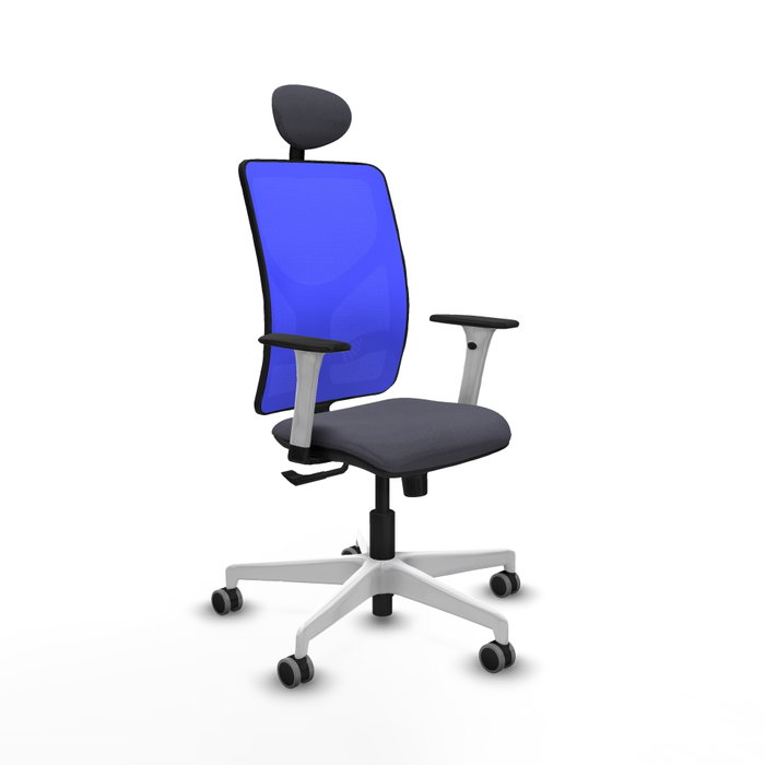 PIQUERAS Y CRESPO Silla de oficina Motilla con mecanismo Sincro, Gris oscuro y Azul PIQUERAS Y CRESPO Silla de oficina Motilla con mecanismo Sincro, Gris oscuro y Azul