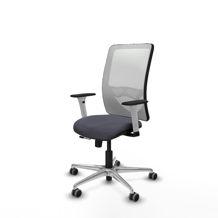 PIQUERAS Y CRESPO Silla de oficina Zulema con mecanismo Sincro/Traslack, Gris oscuro y Blanco PIQUERAS Y CRESPO Silla de oficina Zulema con mecanismo Sincro/Traslack, Gris oscuro y Blanco