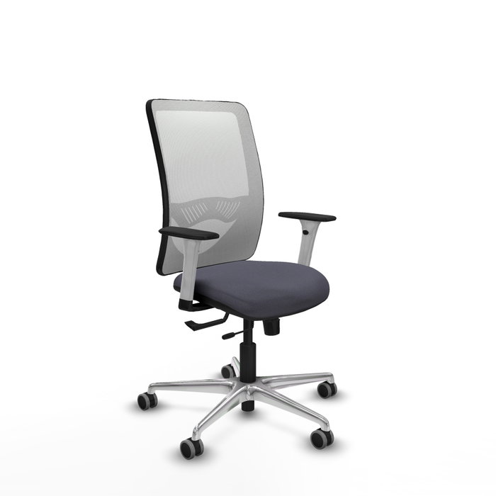 PIQUERAS Y CRESPO Silla de oficina Zulema con mecanismo Sincro/Traslack, Gris oscuro y Blanco PIQUERAS Y CRESPO Silla de oficina Zulema con mecanismo Sincro/Traslack, Gris oscuro y Blanco