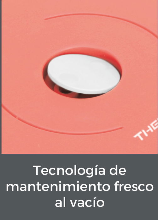 Thermosport Fiambrera Plástico Acero 0.6L - Dimensiones: 15.6 cm Ancho x 18 cm Alto x 15.3 cm Largo (6 Unidades)