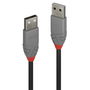 Lindy 1m USB 2.0 Tipo A a A Cable, Línea Anthra