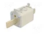 ETI POLAM Fusible NH1 de cartucho de cerámica 20A 500VAC gF