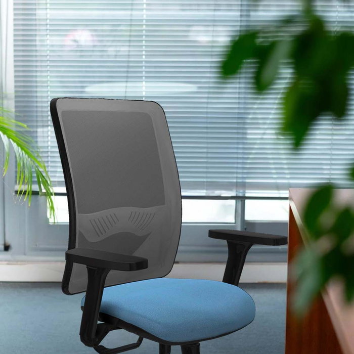 PIQUERAS Y CRESPO Silla de oficina Zulema con mecanismo Sincro/Traslack, Gris claro y Blanco PIQUERAS Y CRESPO Silla de oficina Zulema con mecanismo Sincro/Traslack, Gris claro y Blanco
