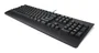 Lenovo Preferred Pro II Teclado USB Español Tamaño Completo Tecla Copilot para Windows, Diseño Islas, Negro para Hogar y Oficina