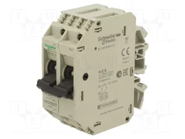 SCHNEIDER ELECTRIC Interruptor motorizado 250VAC 2A