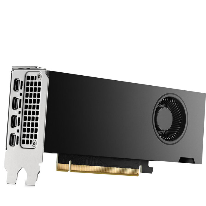 Tarjeta Gráfica HP 8D6B8AA