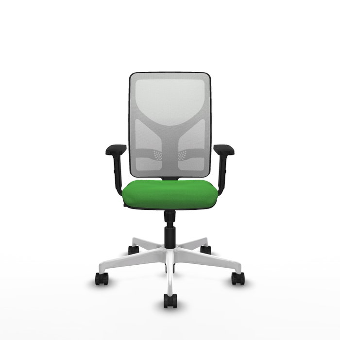 PIQUERAS Y CRESPO Silla de oficina Motilla con mecanismo Sincro, Verde y Blanco PIQUERAS Y CRESPO Silla de oficina Motilla con mecanismo Sincro, Verde y Blanco