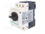 SCHNEIDER ELECTRIC GV2P14 Interruptor Motorizado 3kW 230÷690VAC