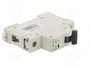 Promfactor Baltic Interruptor magnetotérmico ECO 50A 1 polo