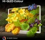 Hisense 32S5Q Smart TV QLED Full HD 32 pulgadas Blanco