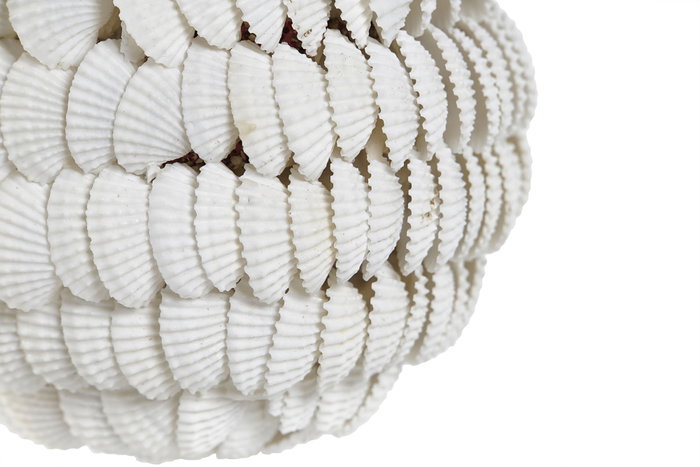 DKD Home Decor Bola de Decoración con Conchas Blanco DKD Home Decor Bola de Decoración con Conchas Blanco