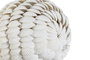 DKD Home Decor Bola de Decoración con Conchas Blanco