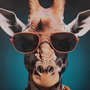 Cuadro Impresión Animales 3/M Decoración 50 X 3 X 70 cm (Set de 3)