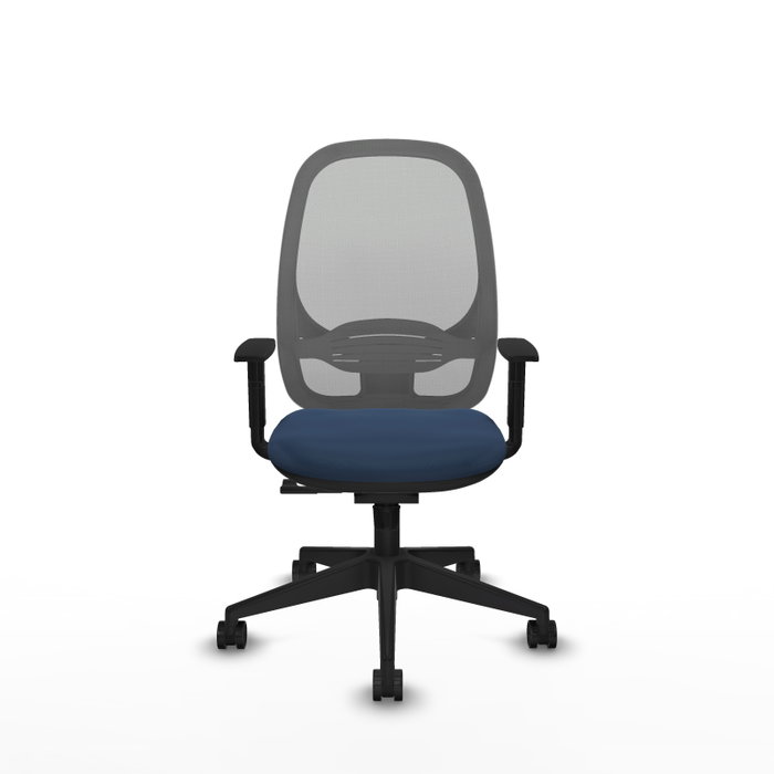 PIQUERAS Y CRESPO Silla de oficina Cilanco con mecanismo Sincro Azul marino y Gris PIQUERAS Y CRESPO Silla de oficina Cilanco con mecanismo Sincro Azul marino y Gris