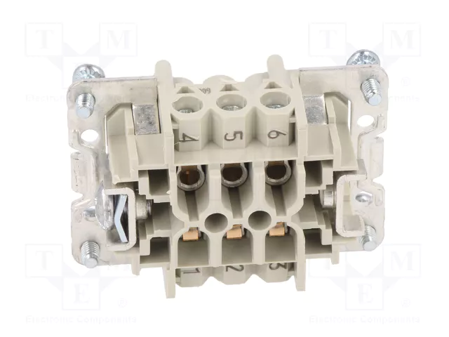 WIELAND Conector HDC Hembra Tamaño 6 para Panel