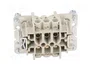 WIELAND Conector HDC Hembra Tamaño 6 para Panel